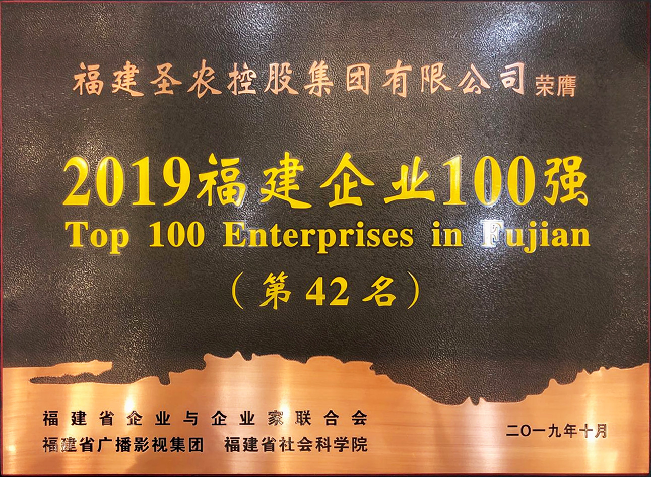 2019（cq9电子集团）福建企业100强